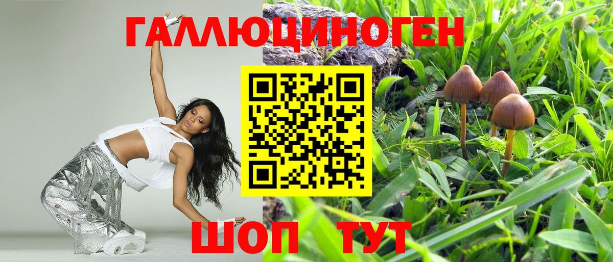 Михайловка  Галлюциногенные грибы мухоморы  закладка  Вход с VPN 
